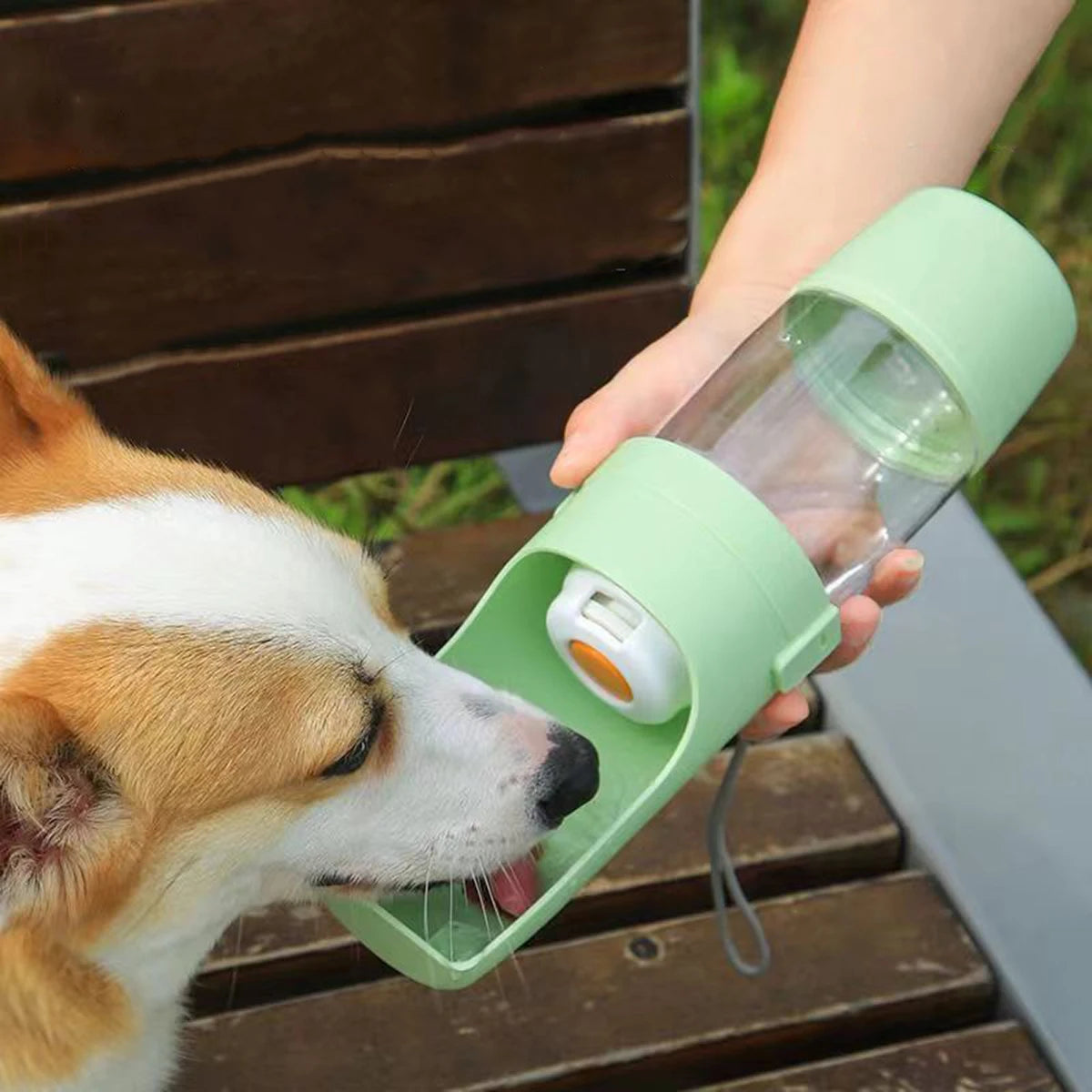 ZeliPet™ On-The-Go Travel Feed & Hydrate Bottle